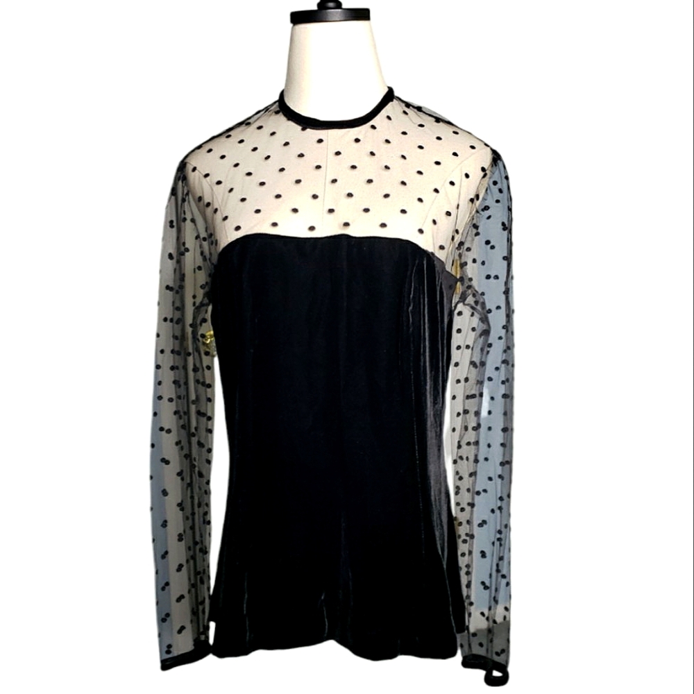 Vtg Mesh Swiss Dot Sheer Top 14 Velvet Silk Blend Whimsigoth Withcy Fairy COS